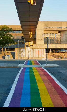 Rainbow Fußgängerampel und St John's City Hall, St. John's, Neufundland, Kanada Stockfoto