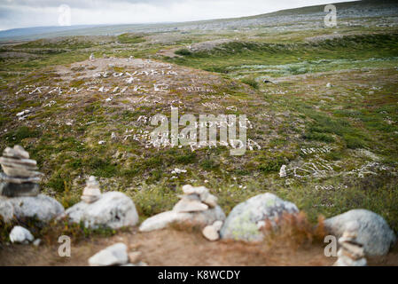 Die Arctic Circle Center, in der Nähe von Storjord, Storforshei, Norwegen, Skandinavien, Europa. Stockfoto