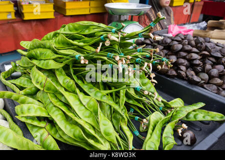 Stinky Bean für Verkauf an Floh- und Antiquitätenmarkt in Ipoh, Hauptstadt von Perak. Stockfoto