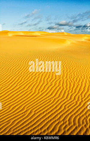 Gewellte Sanddünen am Strand von Medanos Blancos (Playa Medanos Blancos). Falcon, Falcon State, Venezuela. Stockfoto