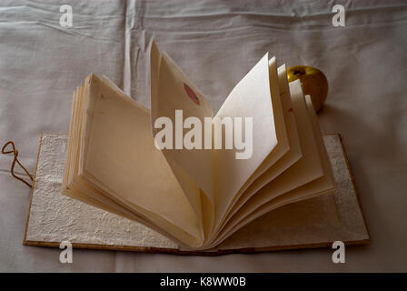 Vintage Buch mit Äpfel auf dem Gesickte Stockfoto