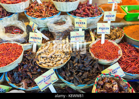 Verschiedene Arten von Chiles zum Verkauf in einem Markt in Oaxaca, Mexiko Stockfoto