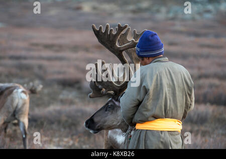 Tsaatan Mann, in einem traditionellen Deel gekleidet, mit seinen Rentieren in der Taiga im Norden der Mongolei Stockfoto