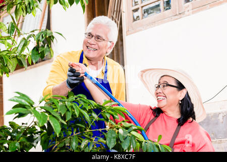 Asiatische senior Paar lächelnd, während Gießen grün kultiviert Plan Stockfoto