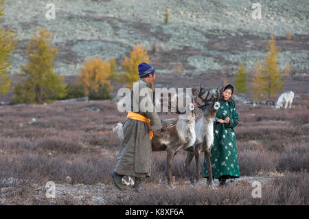 Tsaatan Paar mit ihrer Rentiere im Norden der mongolischen Landschaft Stockfoto