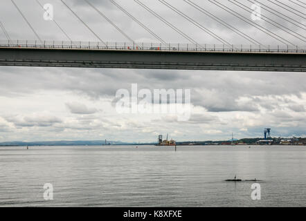 Queensferry Kreuzung mit Heron auf einem Felsen und Rosyth dockyard im Hintergrund, Erhabene, Schottland, Großbritannien Stockfoto