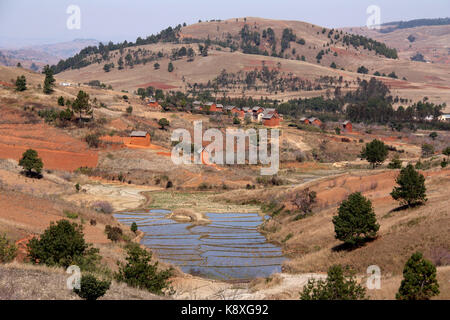 Anbau von Reis in Madagaskar Landschaft Stockfoto