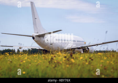 Bewegt sich das Flugzeug auf dem Rollfeld vor dem Hintergrund des Waldes und blaue Wolke Himmel und im Vordergrund schönen Feld gelb hell Fl Stockfoto