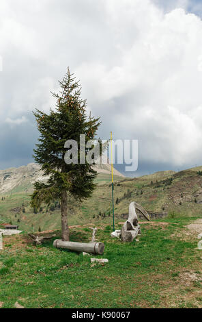 Einsamer Baum auf dem Hintergrund der Dolomiten Stockfoto