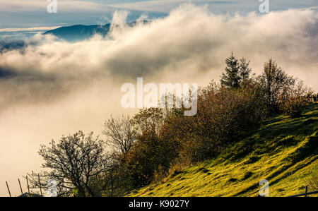 Riesige Nebel steigen über die Hügel, schöne herbstliche Landschaft in den Bergen bei Sonnenaufgang Stockfoto