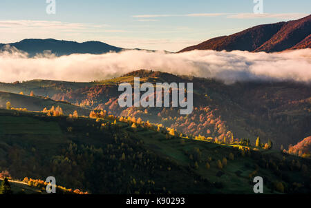 Wolke über die sanften Hügel steigen, Wunderschöne herbstliche Landschaft in den Bergen bei Sonnenaufgang Stockfoto