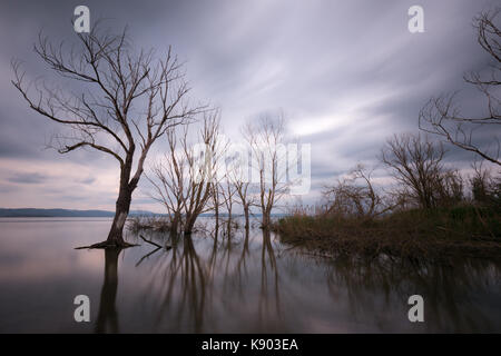 Langzeitbelichtung, Blick auf den See, mit Skelett Bäume, noch Wasser und ziehenden Wolken Stockfoto