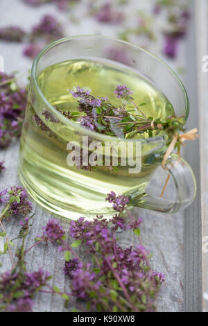 Thymian-Tee, Thymiantee, Tee, Kräutertee, Heiltee aus Thymian, Blütentee. Feld-Thymian, Feldthymian, Wilder Thymian, Arznei-Thymian, Arzneithymian, Stockfoto