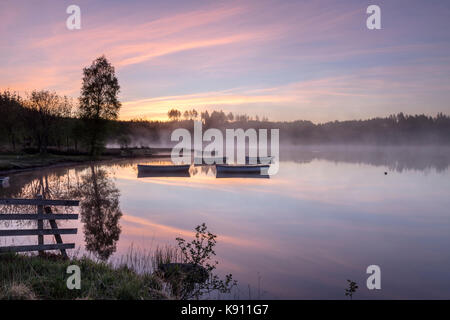 Misty daybreak über Loch Rusky, Aberfoyle, die Trossachs, Schottland, 17. Mai 2016 Stockfoto