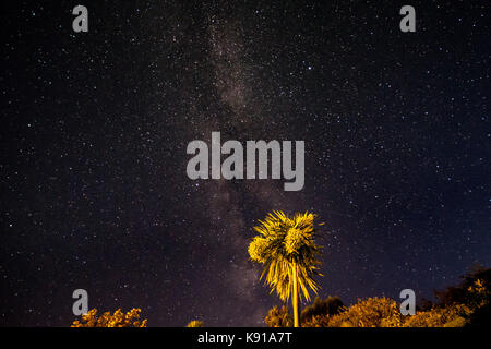 Fowey, Cornwall, UK. 21 Sep, 2017. UK Wetter. Klarer Himmel bei Nacht ein Kühlen der Luft über South West Cornwall, und offenbart eine Vielzahl von Sternen am Nachthimmel von den Fotografen zurück Garten. Foto: Simon Maycock/Alamy leben Nachrichten Stockfoto