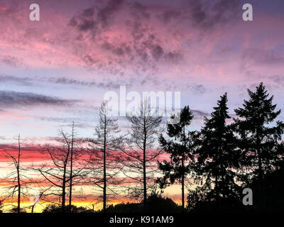 Tuesley Lane Godalming. 21. September 2017. Bewölkt Bedingungen über dem Haus Grafschaften an diesem Abend einen schönen Sonnenuntergang. Sonnenuntergang über Godalming, Surrey. Credit: James Jagger/Alamy leben Nachrichten Stockfoto