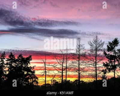 Tuesley Lane Godalming. 21. September 2017. Bewölkt Bedingungen über dem Haus Grafschaften an diesem Abend einen schönen Sonnenuntergang. Sonnenuntergang über Godalming, Surrey. Credit: James Jagger/Alamy leben Nachrichten Stockfoto