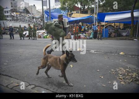 Mexiko City, Mexiko City, MX. 21 Sep, 2017. Lokale und internationale Rettungsteams mit technischen Geräten und speziell ausgebildete Hunde helfen Überlebenden in Colonia zu finden. Roma nach einem starken Erdbeben jolted Mexiko Stadt. Eine Magnitude 7.1 Erdbeben erschütterte zentralen Mexiko am Dienstag, Einsturz mehrerer Gebäude und Verstreute Trümmer auf den Straßen zum Jahrestag der Ein starkes Beben 1985. Quelle: Joel Alvarez/ZUMA Draht/Alamy leben Nachrichten Stockfoto