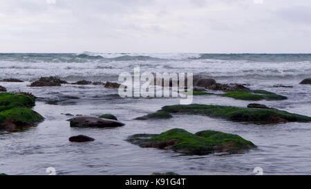 Rock Pools wie das Meer Exerzitien, revealling Felsen und Pflanzen Stockfoto