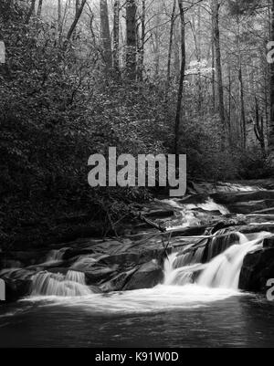 Wildcat Creek liegt in Rabun County im Norden Georgiens.  Es fließt in der Regel West nach Ost, mündet in Lake Burton entlang der westlichen Seite.  Es gibt einen gut entwickelter Campingplatz entlang Wildcat Creek Road, die den Zugang zu den Creek in diesem Bereich ist.  Es ist jährlich mit Regenbogenforellen bestückt und ist sehr beliebt bei Fischer. Stockfoto