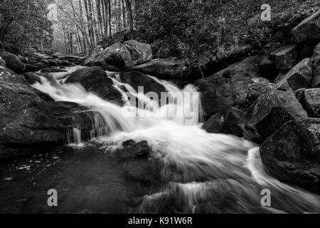 Den mittleren Stift des kleinen Flusses wird durch den Zusammenfluss von Lynn camp Stiften und thunderhead Prong gebildet und fließt weitere 6 Meilen bis es mündet in den kleinen Fluss. Das gesamte Einzugsgebiet des mittleren Stift ist lose als tremont bekannt. Stockfoto