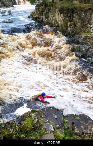 Schlucht wandern in den Fluss-T-Stücke bei stürmischem Wetter und geschwollenen Fluss, Bowlees, County Durham. Stockfoto