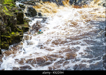 Schlucht wandern in den Fluss-T-Stücke bei stürmischem Wetter und geschwollenen Fluss, Bowlees, County Durham. Stockfoto