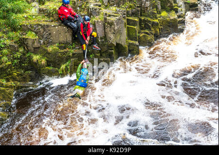 Schlucht wandern in den Fluss-T-Stücke bei stürmischem Wetter und geschwollenen Fluss, Bowlees, County Durham. Stockfoto