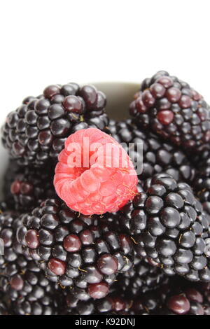 frische Brombeeren und Rote Himbeere Früchte in einer kleinen Schüssel Stockfoto