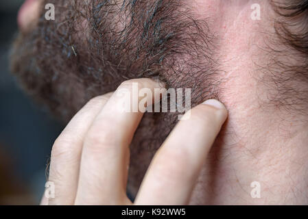 Close up Seitenansicht männliche Hand berührt den Bart Stockfoto