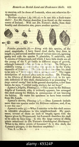 Zeitschrift der Naturgeschichte und der Zeitschrift der Zoologie, Botanik, Mineralogie, Geologie und Meteorologie (Seite 425) BHL 2259386 Stockfoto