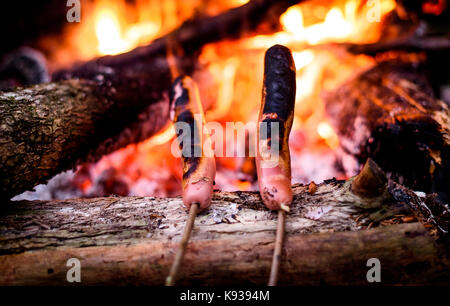 Machen und Kochen Hot Dog Würstchen über öffnen Lagerfeuer. Grillen Essen über Flammen Lagerfeuer auf hölzernen Zweig - Stick Speere in der Natur in der Nacht. Scou Stockfoto