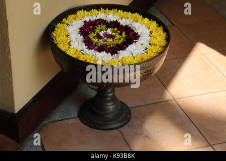 Tennekumbura Kandy Sri Lanka Earl's Regency Hotel Blumen in Kupfer pot Stockfoto