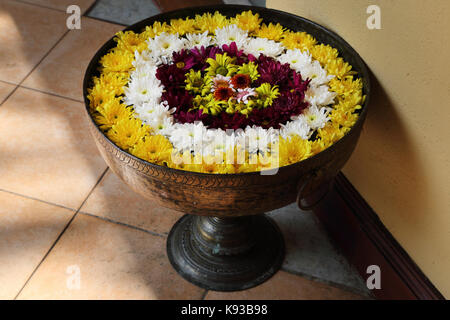 Tennekumbura Kandy Sri Lanka Earl's Regency Hotel Blumen in Kupfer pot Stockfoto