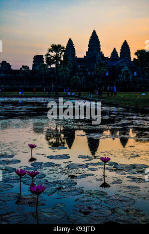 Sonnenaufgang über Angkor Wat Stockfoto