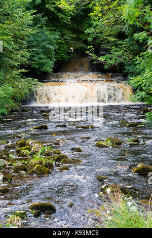 Die schöne Splint Kraft Wasserfall auf der Splint Beck in der Nähe von Hawes in den Yorkshire Dales National Park Yorkshire England Vereinigtes Königreich Großbritannien Stockfoto