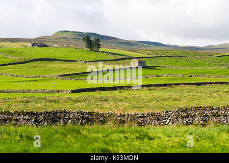 Der Blick Richtung Gayle und Dodd sank von Bainbridge in den Yorkshire Dales National Park Yorkshire England Vereinigtes Königreich Großbritannien Stockfoto