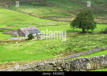 Typische Yorkshire Dales Ackerland und Scheune mit Kalkstein Trockenmauern Markierung Felder oben Gayle in der Nähe von Hawes Yorkshire England United Kingdom Stockfoto