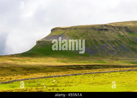 Pen-yGhent in der Nähe von Horton in Ribblesdale Yorkshire Dales National Park Yorkshire England Vereinigtes Königreich Großbritannien Stockfoto