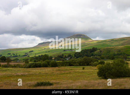 Pen-yGhent in der Nähe von Horton in Ribblesdale Yorkshire Dales National Park Yorkshire England Vereinigtes Königreich Großbritannien Stockfoto