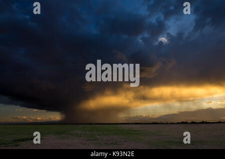 Das Licht der untergehenden Sonne glänzt in aus dem Westen, die Beleuchtung der Regen mit einem goldenen Licht, wie es aus den Wolken über fällt. Stockfoto