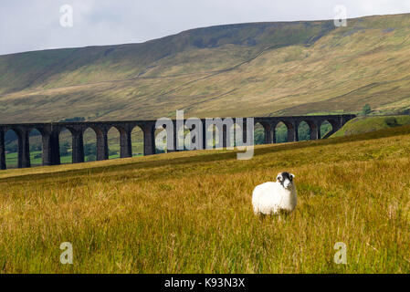 Die ribblehead Viadukt Durchführung Settle Carlisle Railway über Batty Moss bei Ribblehead North Yorkshire England Vereinigtes Königreich Großbritannien Stockfoto