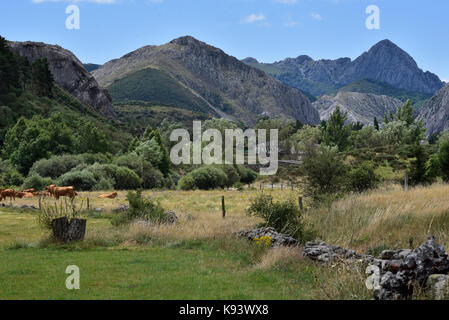 Mit Blick auf die Berge in der Nähe von Pico valdorria von lugueros, unterhalb der Puerto de vegarada in der Cordillera Cantabrica, Nordspanien Stockfoto