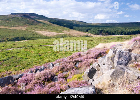 Derbyshire, Großbritannien: 28. Aug. 2014: Carl Wark und Higger Tor über das Tal am 28 Aug auf Hathersage Moor, Peak District gesehen Stockfoto