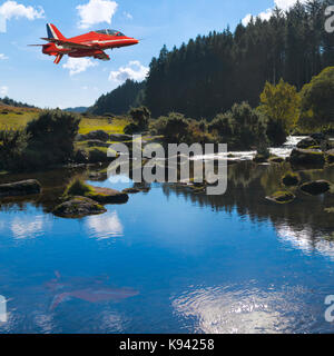 Das zusammengesetzte Bild des einsamen roten Pfeil über dem Fluss Dart niedrig fliegt bei bellever in Dartmoor, Devon - Großbritannien Stockfoto