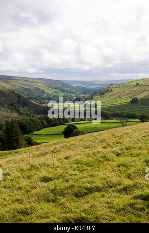 Der Fluss in der Nähe von Littondale Skirfare Halton Gill in den Yorkshire Dales National Park Yorkshire England Vereinigtes Königreich Großbritannien Stockfoto