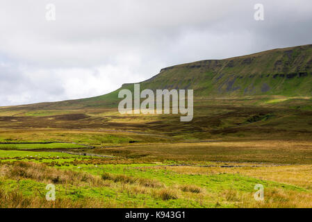 Pen-yGhent in der Nähe von Horton in Ribblesdale Yorkshire Dales National Park Yorkshire England Vereinigtes Königreich Großbritannien Stockfoto