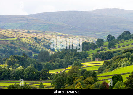 Der Blick in Richtung Swaledale Gunnerside in den Yorkshire Dales National Park Yorkshire England Vereinigtes Königreich Großbritannien Stockfoto