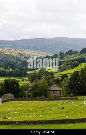 Der Blick in Richtung Swaledale Gunnerside in den Yorkshire Dales National Park Yorkshire England Vereinigtes Königreich Großbritannien Stockfoto