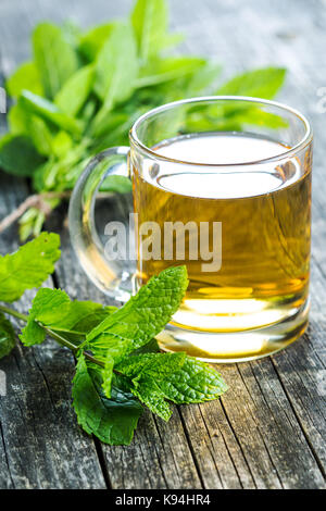 Lecker Pfefferminztee. Minzeblättchen und Kaffee Tasse. Stockfoto